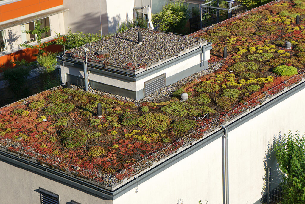 Flachdach mit Begrünung Flachdach mit Begrünung